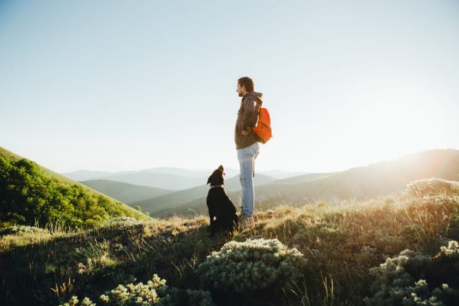 Adobe Stock 209049946 Adobe Stock 209049946