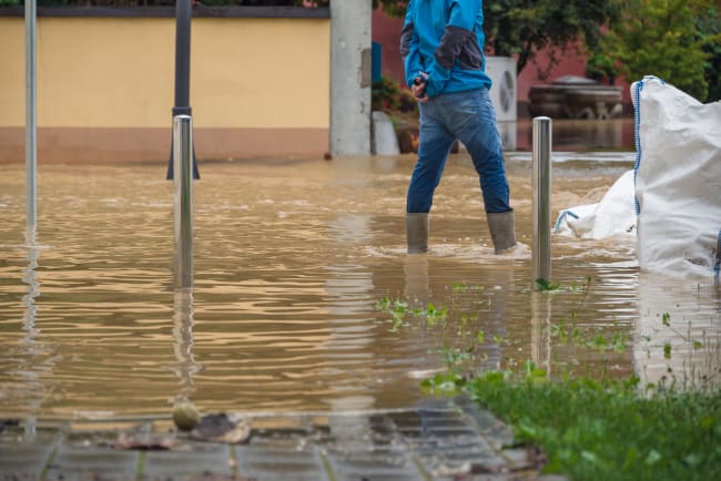 Alluvione licenza standard c 24 K Production