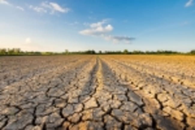 danni all agricoltura com e andato il 2023 e i rischi del 2024 danni all agricoltura com e andato il 2023 e i rischi del 2024