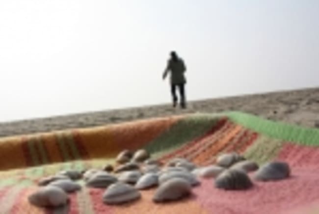 plaid di tua assicurazioni plaid di tua assicurazioni