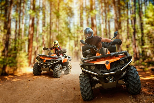 sul quad nei boschi sul quad nei boschi
