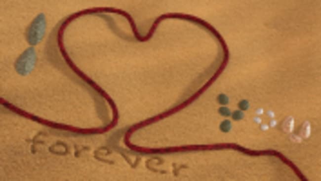una polizza per le love story una polizza per le love story