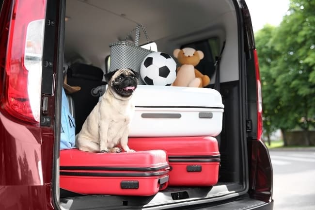 vacanze in auto i preparativi per viaggiare sicuri vacanze in auto i preparativi per viaggiare sicuri