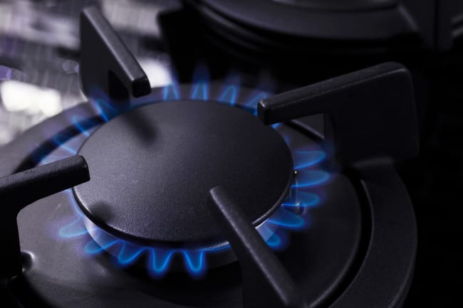 Adobe Stock 346720682 Adobe Stock 346720682