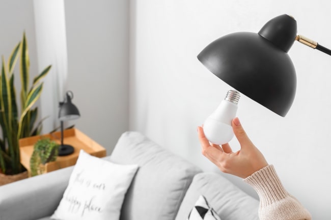 Adobe Stock 487962453 Adobe Stock 487962453