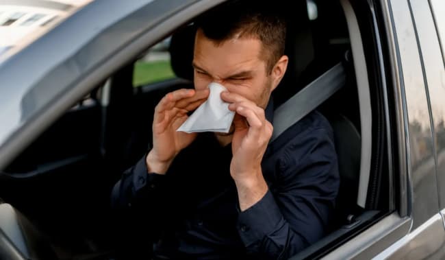 assicurazioni news allergia di primavera pericolo di incidenti per chi guida assicurazioni news allergia di primavera pericolo di incidenti per chi guida