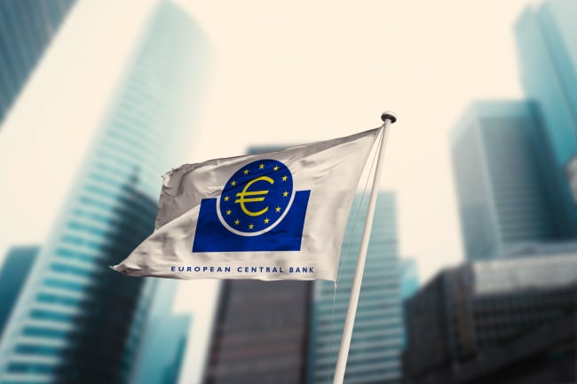 bandiera con simbolo euro