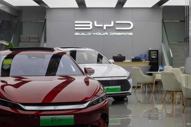 concessionario byd