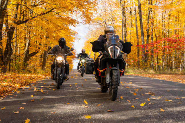 moto foglie moto foglie