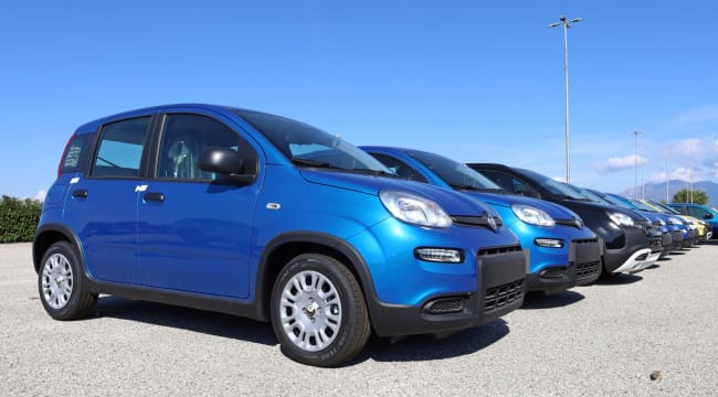 panda parcheggiate in fila panda parcheggiate in fila