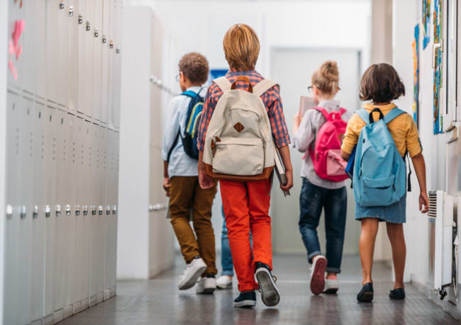parola esperto assicurazioni assicurazione scolastica parola esperto assicurazioni assicurazione scolastica