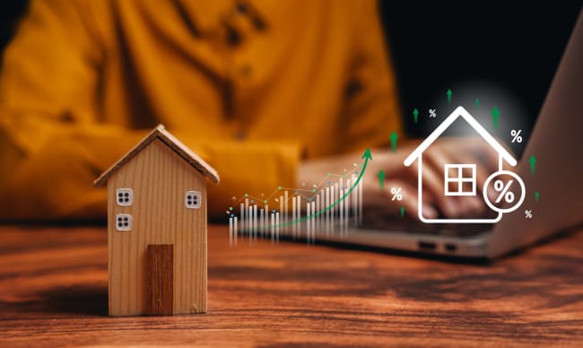 persona al pc e casetta in legno persona al pc e casetta in legno