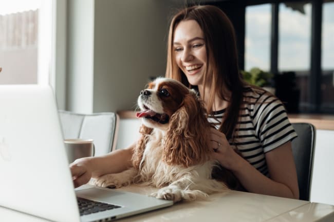 ragazza al pc con cane in braccio ragazza al pc con cane in braccio