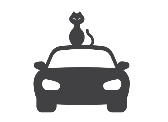 sorpresa gli italiani al volante non sono scaramantici sorpresa gli italiani al volante non sono scaramantici