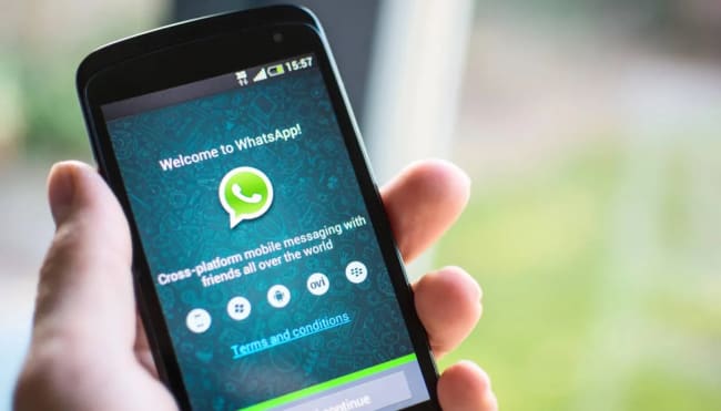 telefonia mobile news attenti alla truffa sul green pass su whatsapp telefonia mobile news attenti alla truffa sul green pass su whatsapp