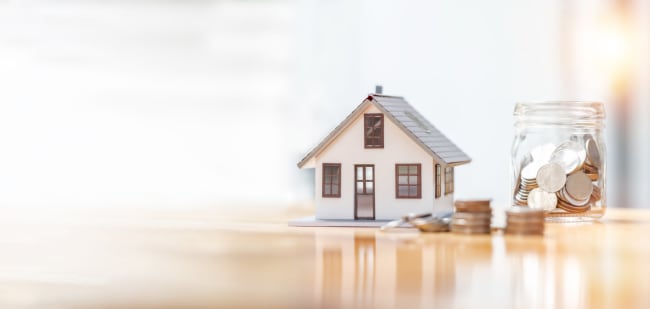Casa e monete licenza standard c David