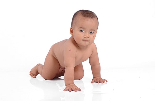 il bonus bebe 2014