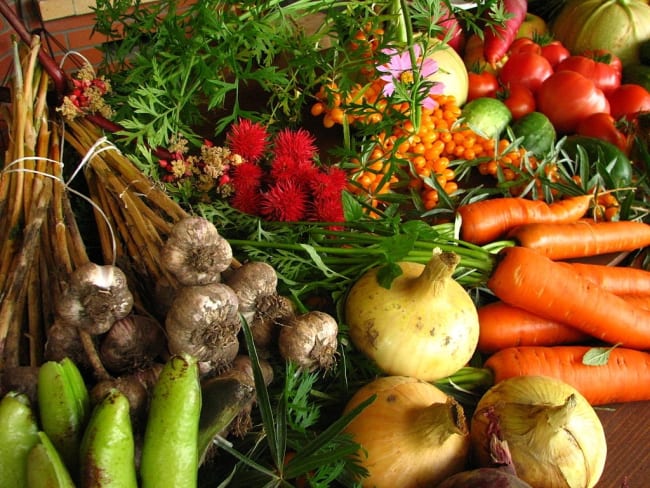 lo spreco alimentare raggiunge livelli preoccupanti lo spreco alimentare raggiunge livelli preoccupanti