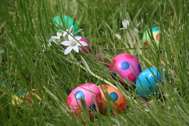 triste pasqua l uovo colpito dai rincari triste pasqua l uovo colpito dai rincari
