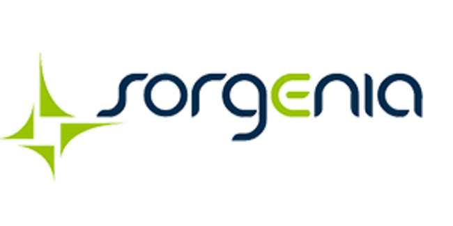 sorgenia sorgenia
