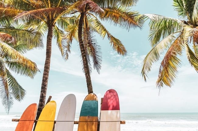 quando andare alle hawaii la stagione migliore per clima e temperature quando andare alle hawaii la stagione migliore per clima e temperature