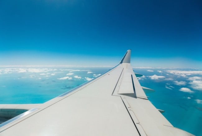 volare con animali guida alle principali compagnie aeree volare con animali guida alle principali compagnie aeree