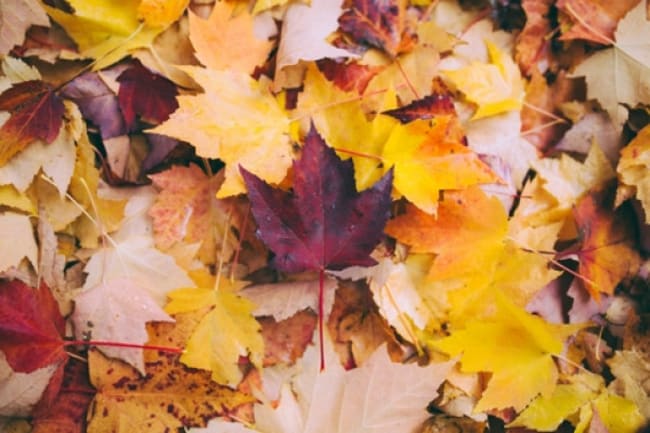 weekend autunno dove andare in italia o in europa weekend autunno dove andare in italia o in europa