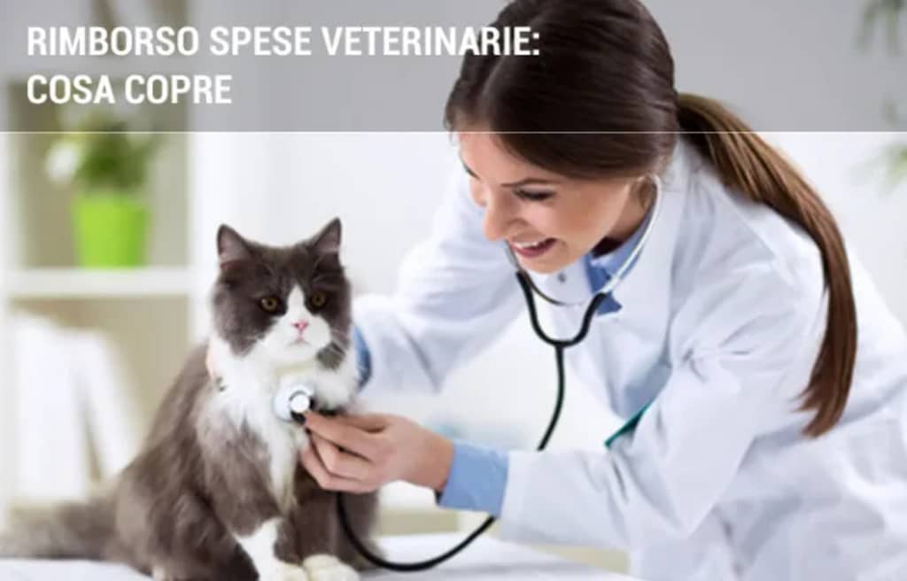 assicurazioni guide rimborso spese veterinarie come funziona assicurazioni guide rimborso spese veterinarie come funziona