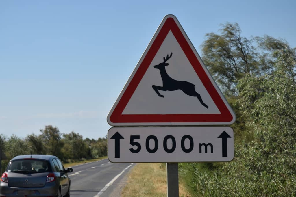 cartello animali selvatici