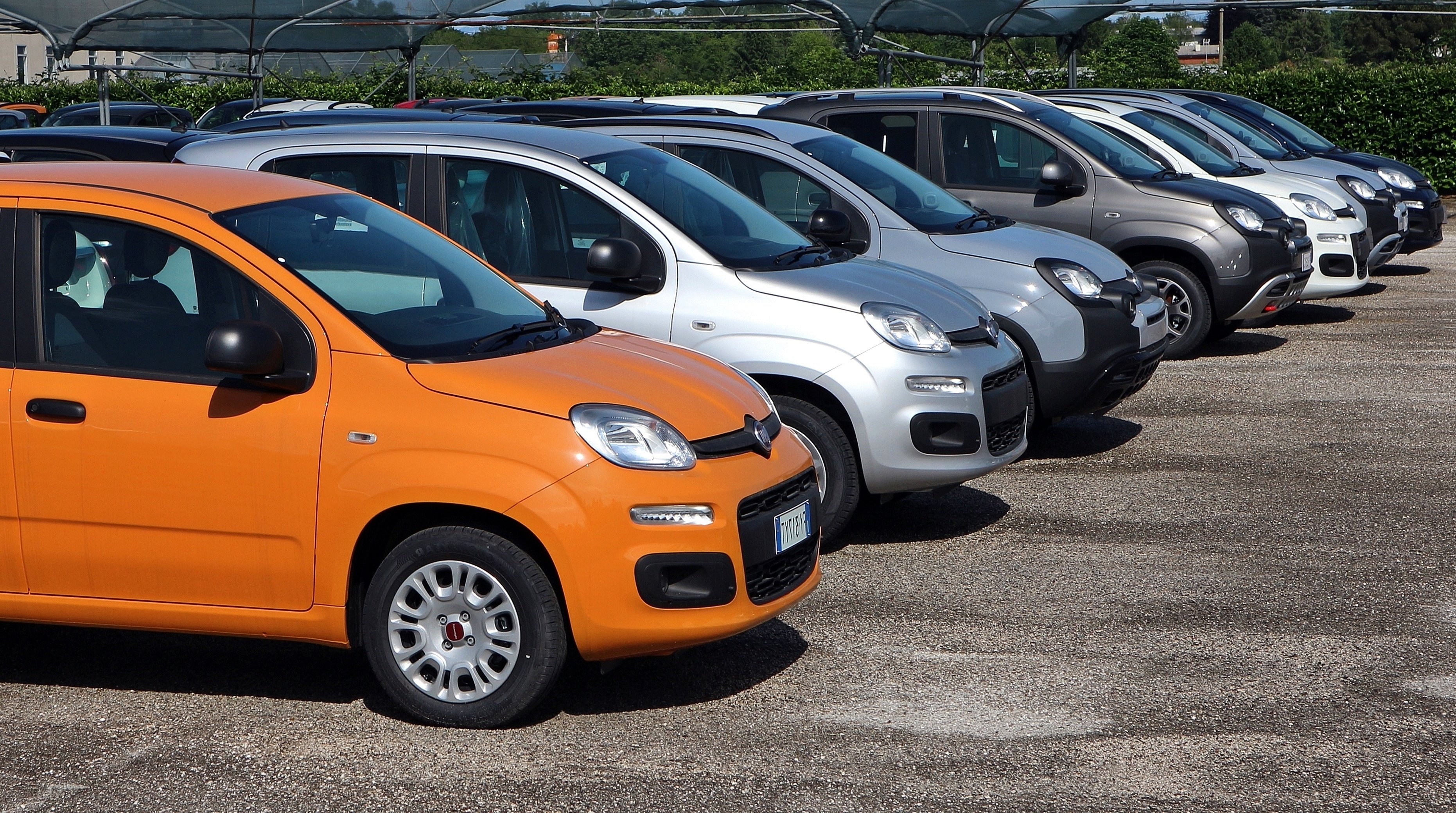 Fiat Grande Panda e Pandina a noleggio lungo termine: le offerte di ottobre 2026