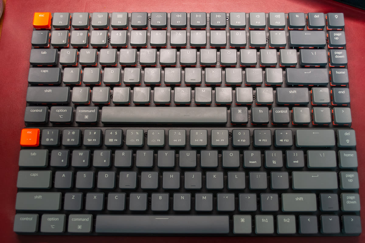 https://res.cloudinary.com/dlhmnejhz/c_scale,f_auto,q_auto,w_1200/20210912-DSC_0050_tjv8jw.jpg