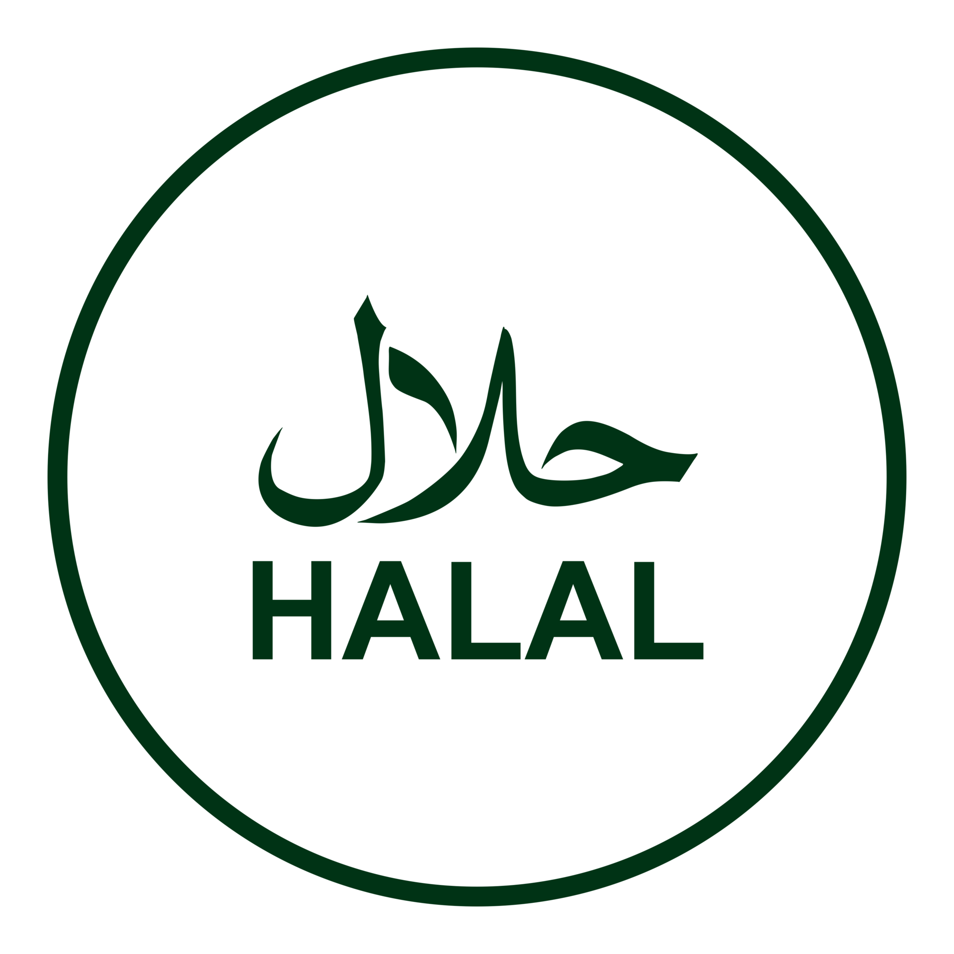 Logo Halal