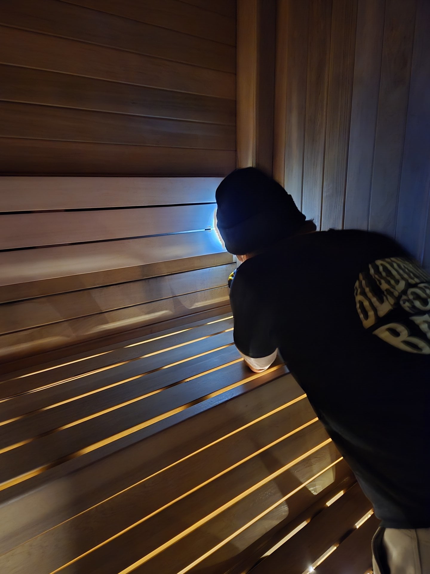 Sauna construction