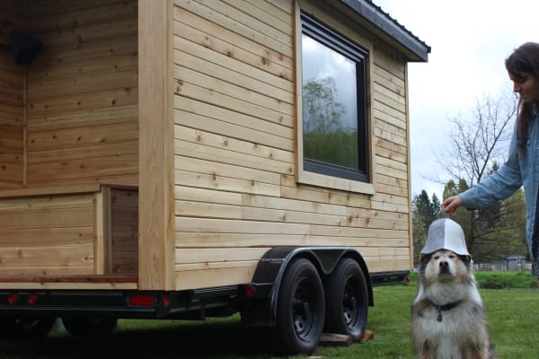 Warm sauna interior with ambient lighting