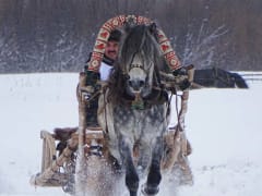 Публичные лекции в библиотеке