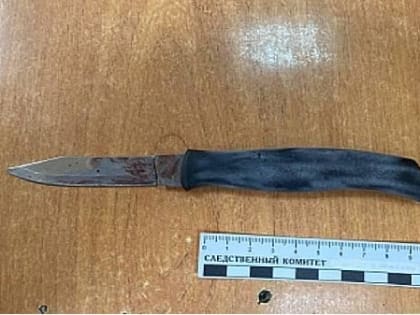 Облитый помоями житель Вельского района в гневе чуть не убил своего знакомого