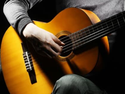 Концерт гитарной музыки в библиотеке