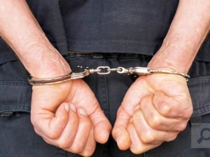 В Коряжме вор-рецидивист украл акустическую систему прямо с полки магазина
