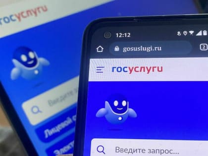 Гражданам предлагают дать возможность отзывать мэров через госуслуги
