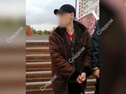 Подозреваемого в убийстве 17-летнего школьника в Северодвинске ждёт принудительное психиатрическое лечение