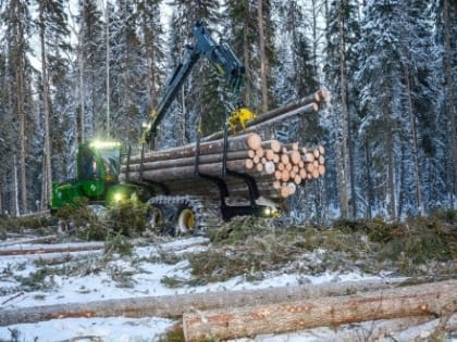 В Архангельском облсобрании предложили ввести мораторий на повышение ставок платы за пользование лесными участками