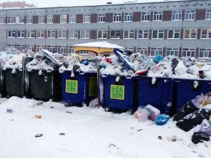 В Архангельске накануне новогодних праздников вновь обострилась мусорная проблема