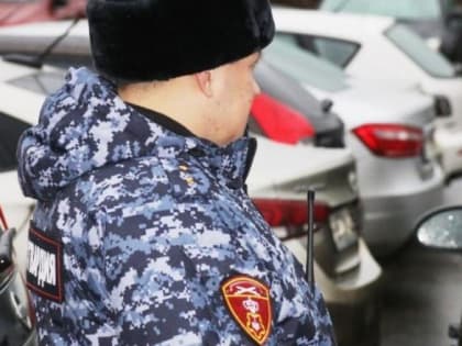 Архангелогородка решила бесплатно приодеться в торговом центре