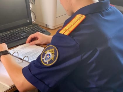 Уроженец Котласского района предстанет перед судом по обвинению в умышленном причинении тяжкого вреда здоровью, повлекшем по неосторожности смерть потерпевшего в Коряжме