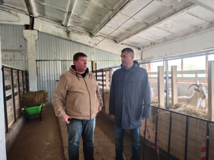 Александр Дятлов: Систему субсидирования малых хозяйств необходимо скорректировать