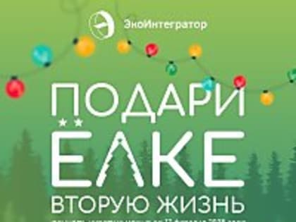В Архангельске началась акция «Подари елке вторую жизнь»