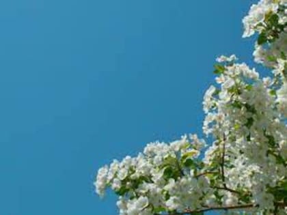 Режим работы в выходные и праздничные дни