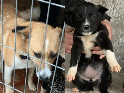 Возьми друга