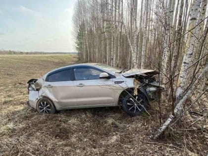 В Вилегодском районе пьяный водитель иномарки врезался в дерево