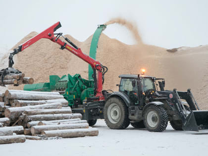 Лесная и горнодобывающая отрасли Поморья сохранили объемы производства